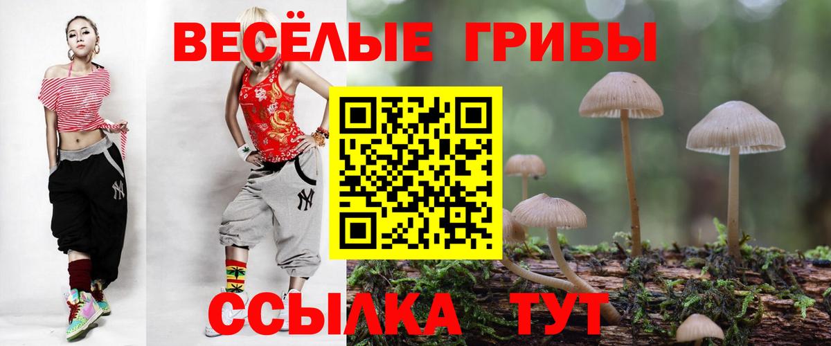 Галлюциногенные грибы Psilocybine cubensis  Вход с VPN  Тосно 