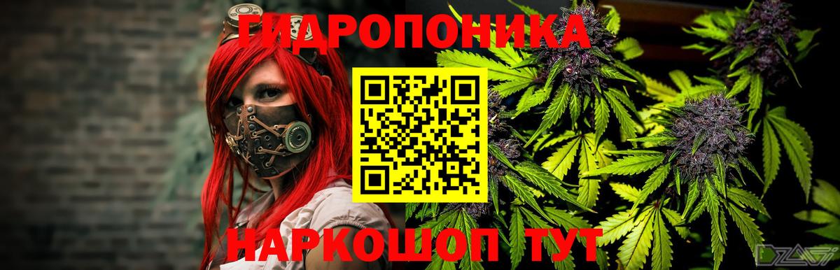 Бошки Шишки Bruce Banner Тосно